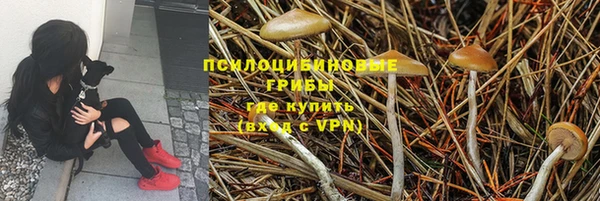 MDMA Новодвинск