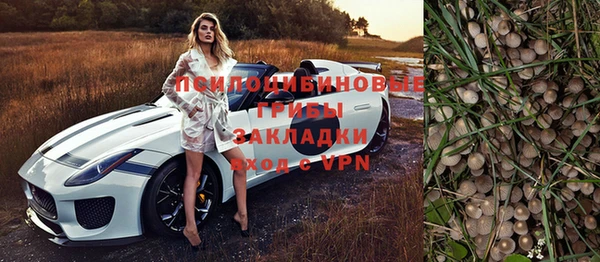 эйфоретик Новозыбков