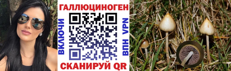 Галлюциногенные грибы Magic Shrooms  где продают наркотики  Андреаполь 